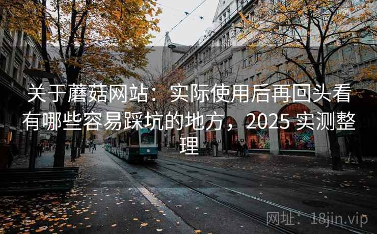 关于蘑菇网站：实际使用后再回头看有哪些容易踩坑的地方，2025 实测整理
