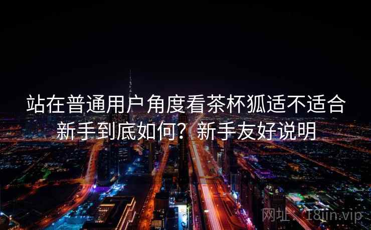 站在普通用户角度看茶杯狐适不适合新手到底如何？新手友好说明