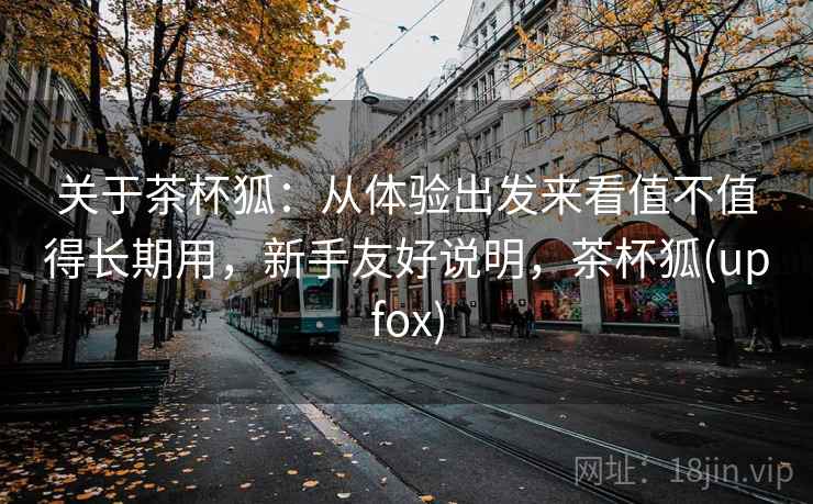 关于茶杯狐：从体验出发来看值不值得长期用，新手友好说明，茶杯狐(upfox)