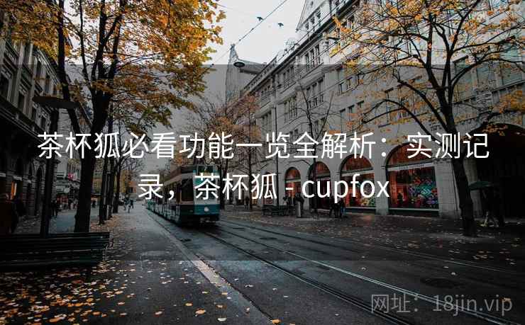 茶杯狐必看功能一览全解析：实测记录，茶杯狐 - cupfox