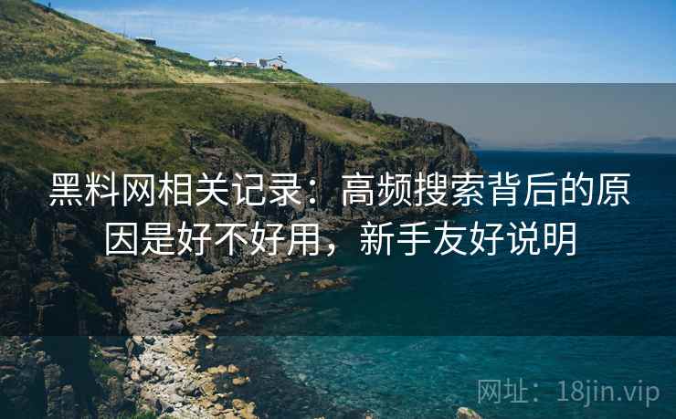 黑料网相关记录：高频搜索背后的原因是好不好用，新手友好说明