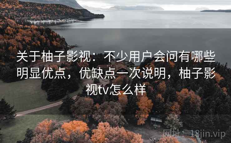 关于柚子影视：不少用户会问有哪些明显优点，优缺点一次说明，柚子影视tv怎么样