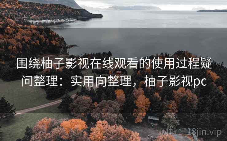 围绕柚子影视在线观看的使用过程疑问整理：实用向整理，柚子影视pc