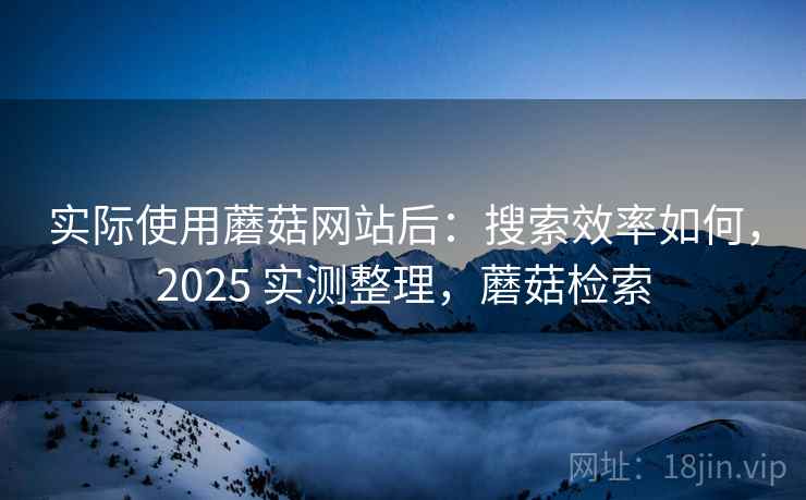 实际使用蘑菇网站后：搜索效率如何，2025 实测整理，蘑菇检索