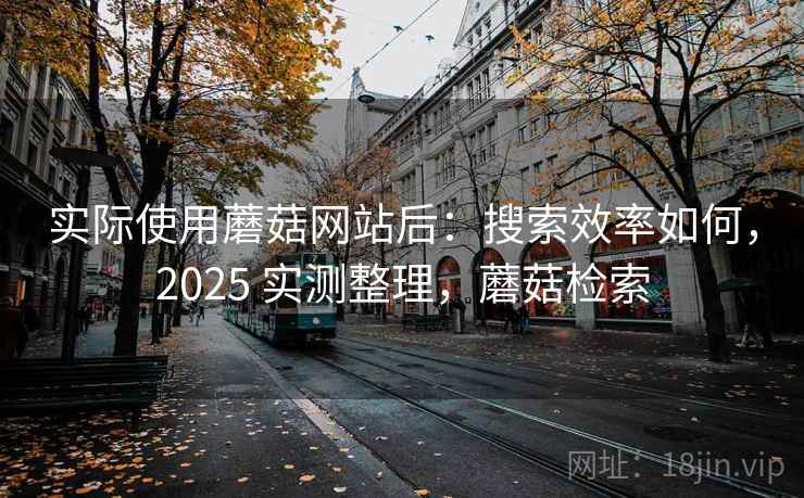 实际使用蘑菇网站后：搜索效率如何，2025 实测整理，蘑菇检索