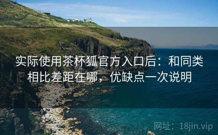 实际使用茶杯狐官方入口后：和同类相比差距在哪，优缺点一次说明